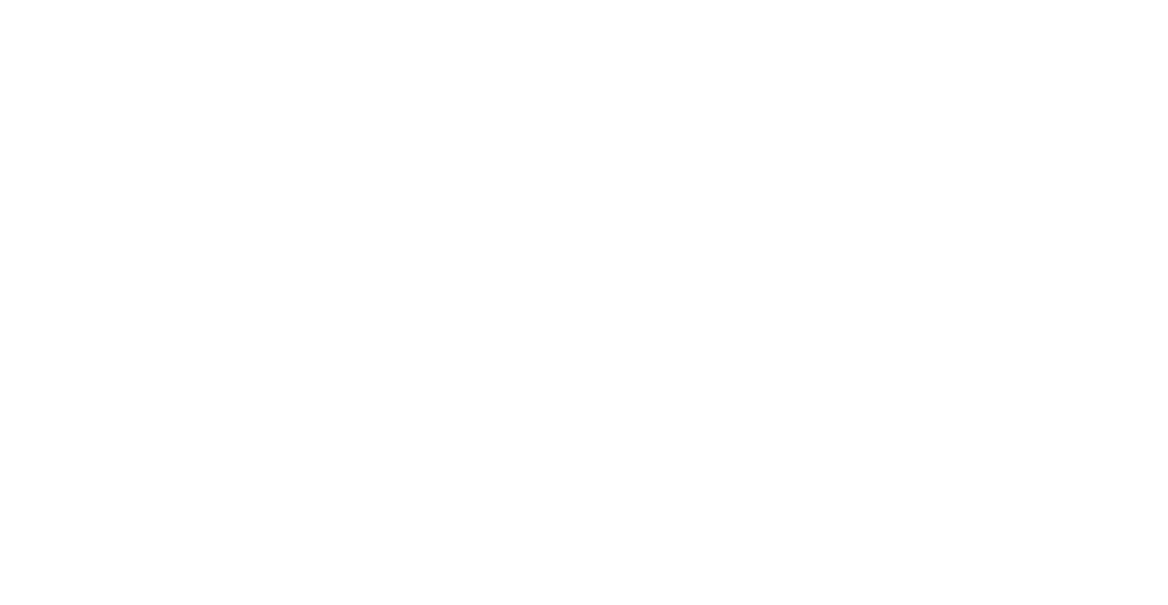 Dịch giả Lê Trường An